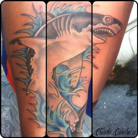 Claudio Camilucci - great white shark